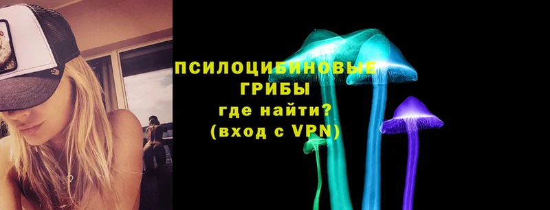 магазин  наркотиков  Ставрополь  Галлюциногенные грибы прущие грибы 